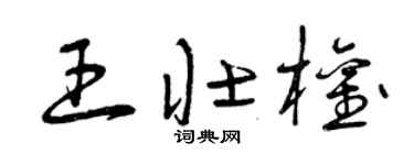 曾庆福王壮权草书个性签名怎么写