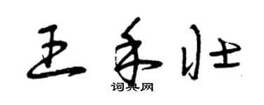 曾庆福王禾壮草书个性签名怎么写