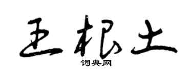 曾庆福王根土草书个性签名怎么写