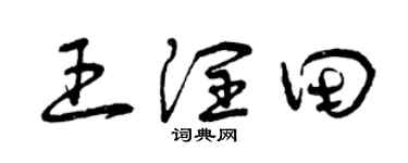 曾庆福王润田草书个性签名怎么写