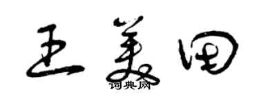 曾庆福王美田草书个性签名怎么写