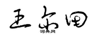 曾庆福王尔田草书个性签名怎么写