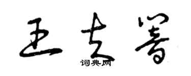 曾庆福王夫响草书个性签名怎么写