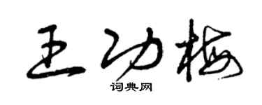 曾庆福王功梅草书个性签名怎么写