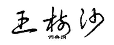 曾庆福王树沙草书个性签名怎么写