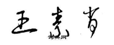 曾庆福王素肖草书个性签名怎么写