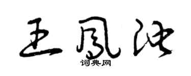 曾庆福王凤池草书个性签名怎么写