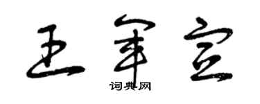 曾庆福王军宣草书个性签名怎么写