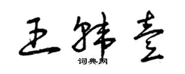 曾庆福王韩壹草书个性签名怎么写