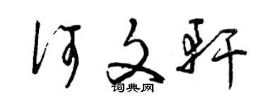 曾庆福何文轩草书个性签名怎么写