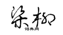 曾庆福梁柳草书个性签名怎么写