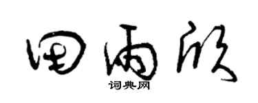 曾庆福田雨欣草书个性签名怎么写