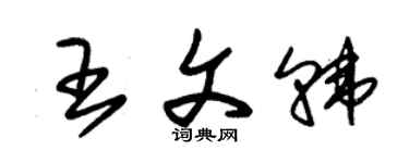 朱锡荣王文韩草书个性签名怎么写