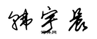 朱锡荣韩宇晨草书个性签名怎么写