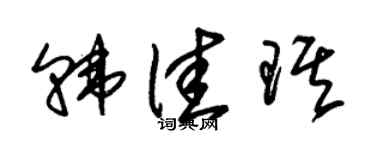 朱锡荣韩佳琪草书个性签名怎么写