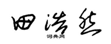 朱锡荣田浩然草书个性签名怎么写