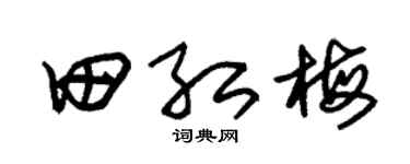 朱锡荣田红梅草书个性签名怎么写