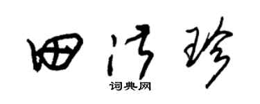 朱锡荣田淑珍草书个性签名怎么写