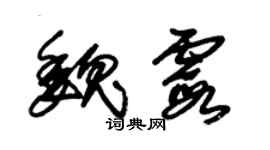 朱锡荣魏霞草书个性签名怎么写