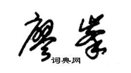 朱锡荣廖峰草书个性签名怎么写