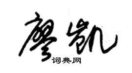 朱锡荣廖凯草书个性签名怎么写