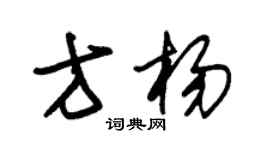 朱锡荣方杨草书个性签名怎么写