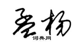 朱锡荣孟杨草书个性签名怎么写