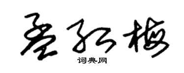 朱锡荣孟红梅草书个性签名怎么写