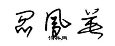 朱锡荣阎凤英草书个性签名怎么写