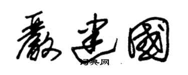 朱锡荣严建国草书个性签名怎么写