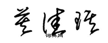 朱锡荣莫佳琪草书个性签名怎么写