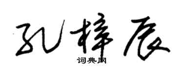 朱锡荣孔梓辰草书个性签名怎么写