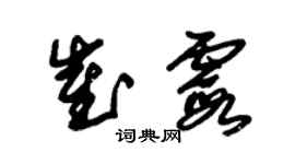 朱锡荣崔霞草书个性签名怎么写