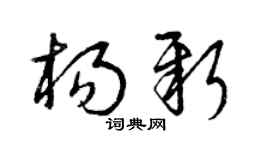 曾庆福杨新草书个性签名怎么写