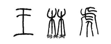 陈墨王林虎篆书个性签名怎么写
