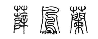 陈墨薛凤兰篆书个性签名怎么写