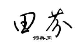 梁锦英田芬草书个性签名怎么写