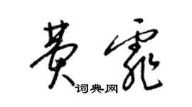 梁锦英费霏草书个性签名怎么写