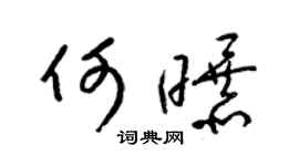 梁锦英何曝草书个性签名怎么写