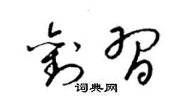 梁锦英刘习草书个性签名怎么写