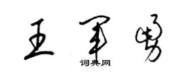 梁锦英王军勇草书个性签名怎么写