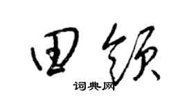 梁锦英田领草书个性签名怎么写