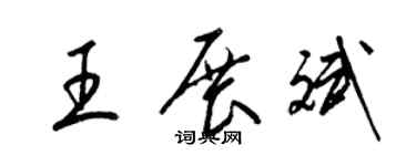 梁锦英王展斌草书个性签名怎么写