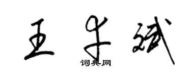 梁锦英王幸斌草书个性签名怎么写