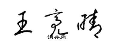 梁锦英王亮晴草书个性签名怎么写