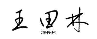 梁锦英王田林草书个性签名怎么写