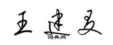 梁锦英王建友草书个性签名怎么写