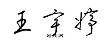 梁锦英王宇婷草书个性签名怎么写