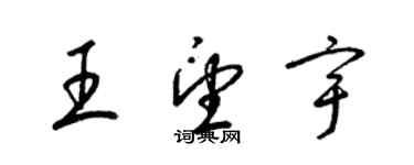 梁锦英王望宇草书个性签名怎么写