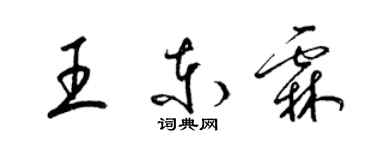 梁锦英王东霖草书个性签名怎么写